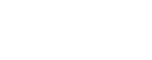 The Restaurant CEO