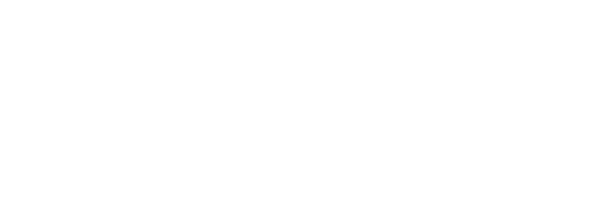 The Restaurant CEO