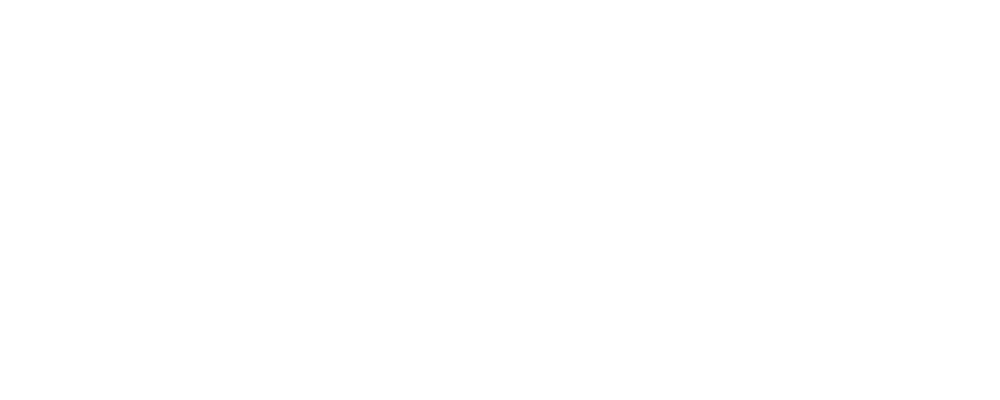 The Restaurant CEO